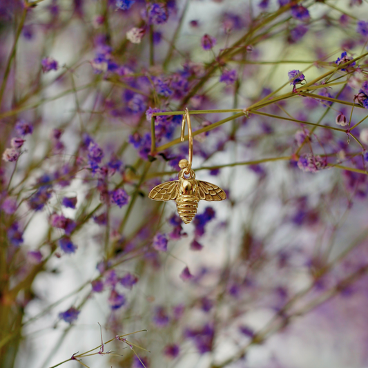 Bee Hoops