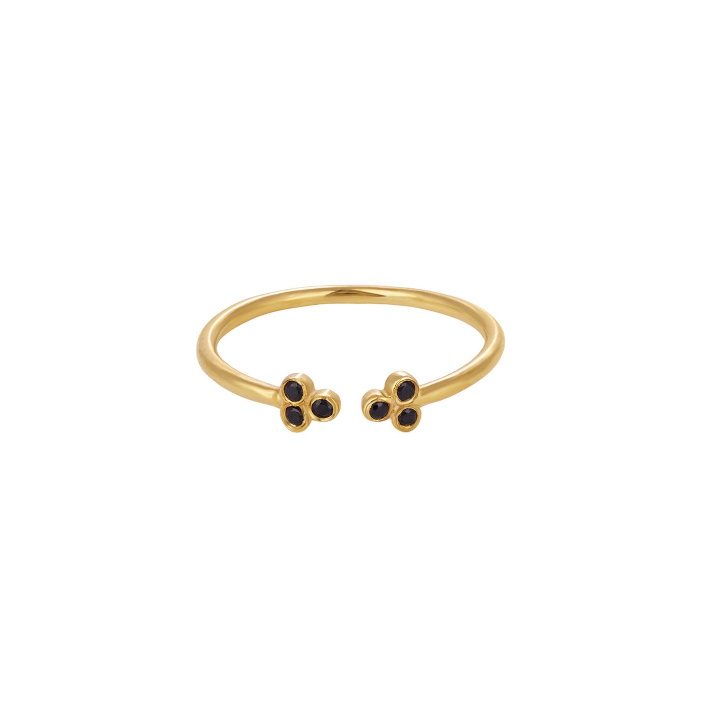 Arlo Ring