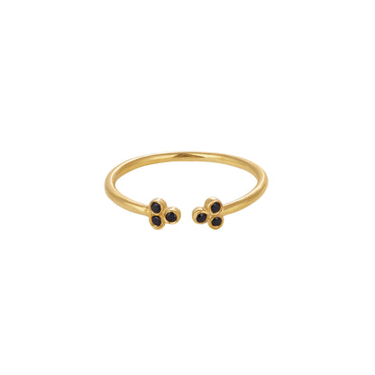 Arlo Ring