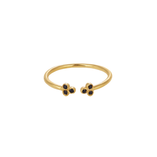Arlo Ring